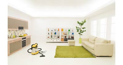 clean rug in living room